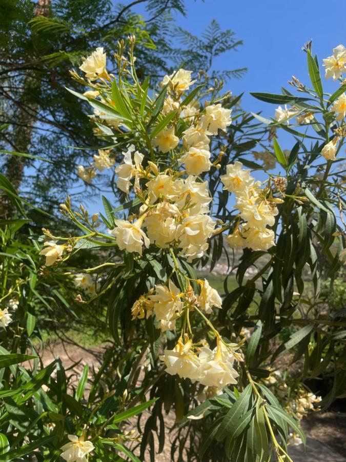 Finca Limoneros Lejlighed Álora Eksteriør billede